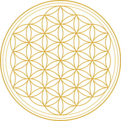 Flower of life 2648527 641